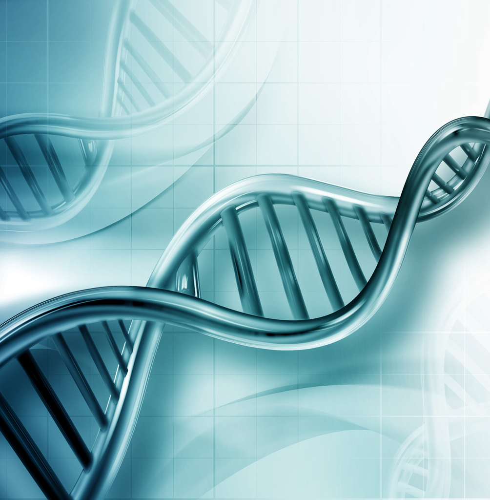 Animal Disease Products