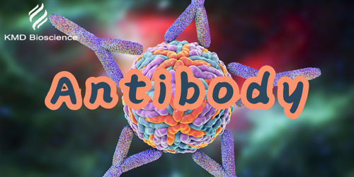 KMD Bioscience Conducts Literature Analysis | Object: HPV Antibody