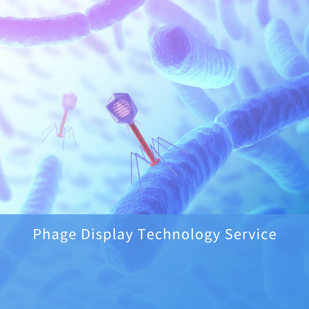 Peptide Research Tuscaloosa – High-Purity Custom Peptide Supplier Serving the USA | KMD Bioscience